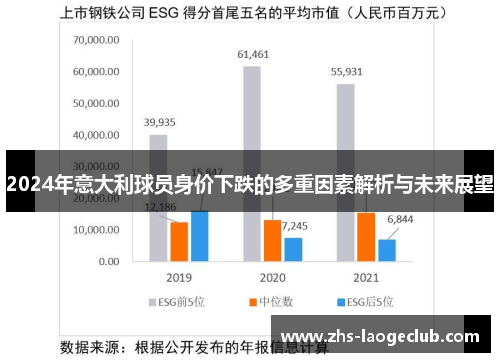 2024年意大利球员身价下跌的多重因素解析与未来展望