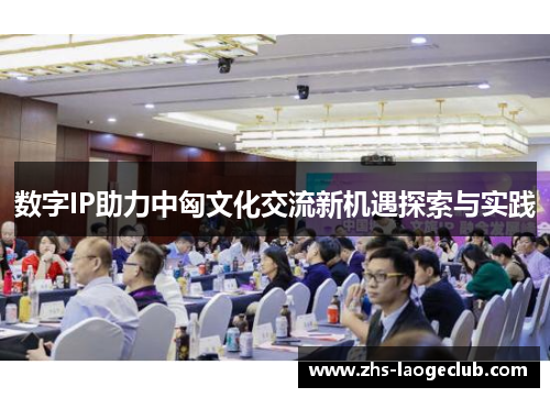 数字IP助力中匈文化交流新机遇探索与实践