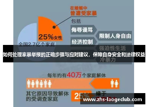 如何处理家暴举报的正确步骤与应对建议，保障自身安全和法律权益