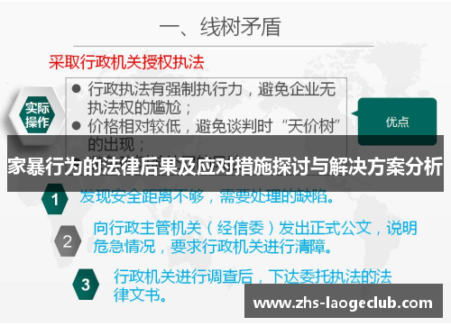 家暴行为的法律后果及应对措施探讨与解决方案分析