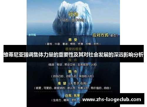 维蒂尼亚强调集体力量的重要性及其对社会发展的深远影响分析