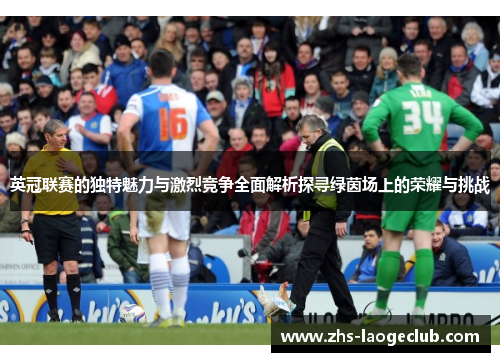 英冠联赛的独特魅力与激烈竞争全面解析探寻绿茵场上的荣耀与挑战
