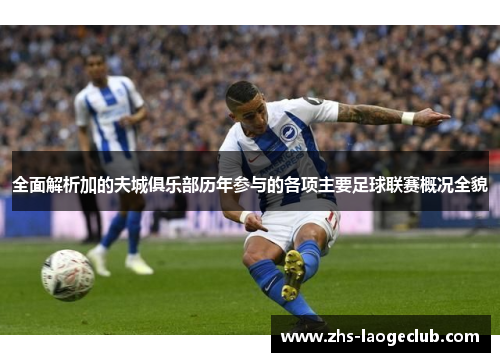 全面解析加的夫城俱乐部历年参与的各项主要足球联赛概况全貌