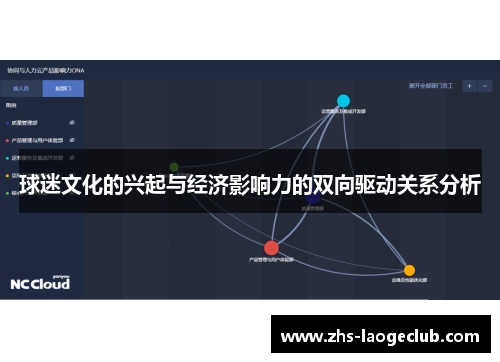 球迷文化的兴起与经济影响力的双向驱动关系分析